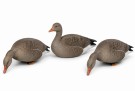 Grågås Lokkefugler – 12 pk Fullbody thumbnail