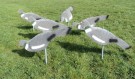Lokkeduer – 10-pk med full flocking og pinner thumbnail