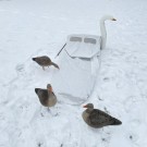 Snow Cover til Supreme Hunter Blinds thumbnail