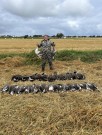 Greylag Buster Easy - Grågås Lokkefløyte thumbnail