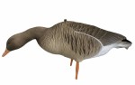 Gatling Goose -  Grågås Lokkefugl Fullbody 6 pk