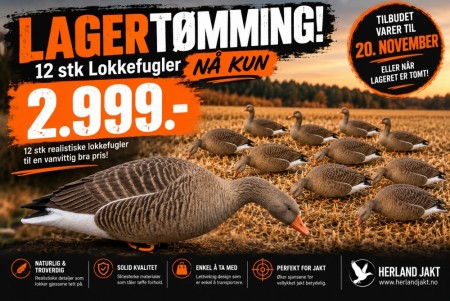 Grågås Lokkefugler – 12 pk Fullbody