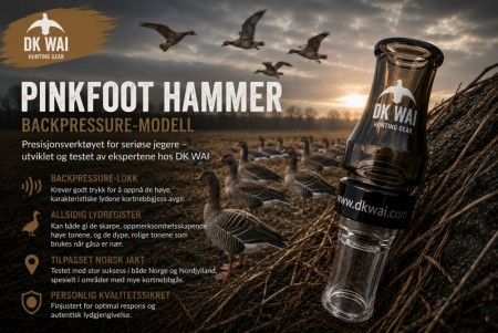 Kortnebb Lokkefløyte - Pinkfoot Hammer