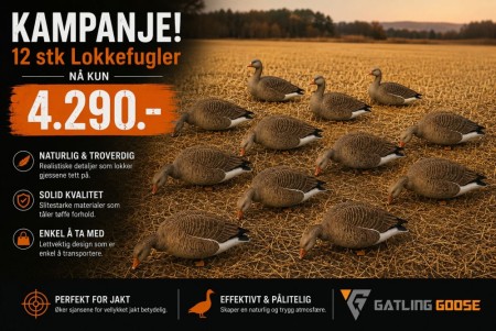 Grågås Lokkefugler – 12 pk Fullbody