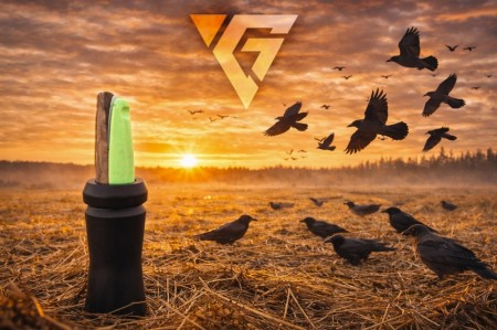 Nasty Crow- Kråkelokk